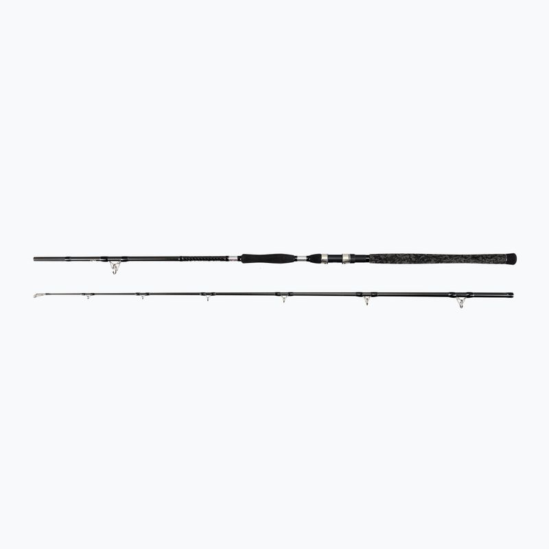 Penn Legion Cat Silver Power AR 2 Sec nero/argento canna da catfish