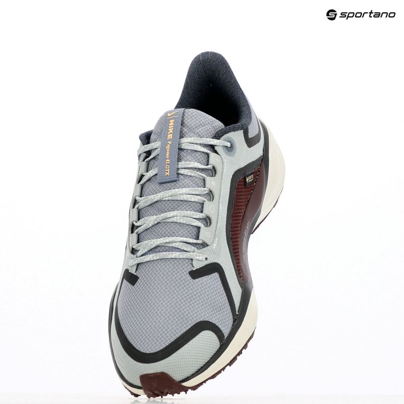 Nike Pegasus 41 GTX scarpe da corsa donna pumice chiaro/ bordeaux cotta/ grigio fumo scuro/ ardesia cenere 9