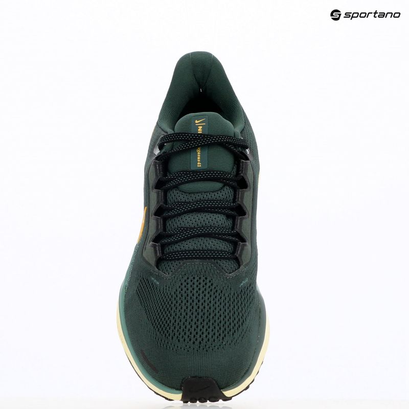 Scarpe da corsa uomo Nike Pegasus 41 verde vintage / bicoastal / nero / oro infinito 9