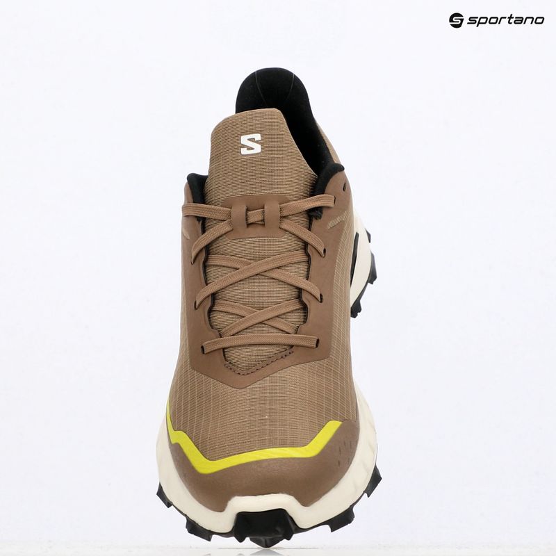 Scarpe da corsa da uomo Salomon Alphacross 5 caribù/canapa/zolfo 18
