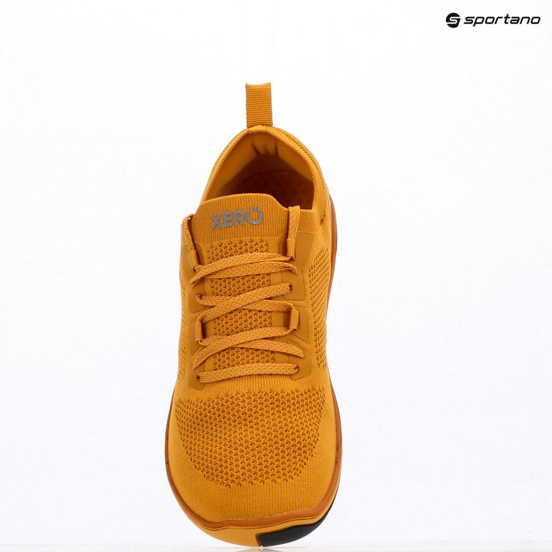 Scarpe da uomo a piedi nudi Xero Shoes Nexus Knit oro 9