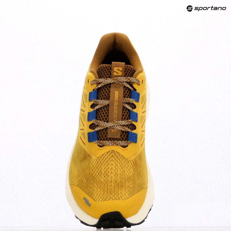 Scarpe da corsa da uomo Salomon Aero Blaze 3 GRVL senape piccante/ghiaccio vaniglia/blu nautico 9