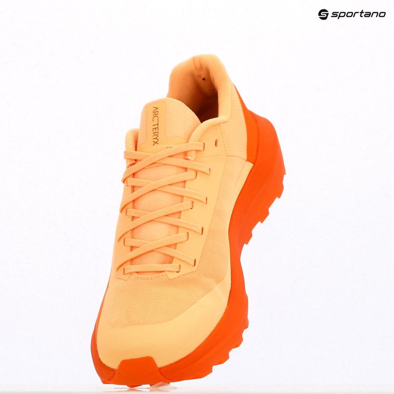 Scarpa da corsa Arc'teryx Norvan LD 4 luminary / verve da donna 11