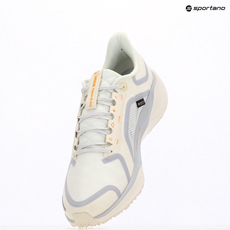 Buty do biegania męskie Nike Pegasus 41 GTX sail/football grey/sundial/ashen slate 13