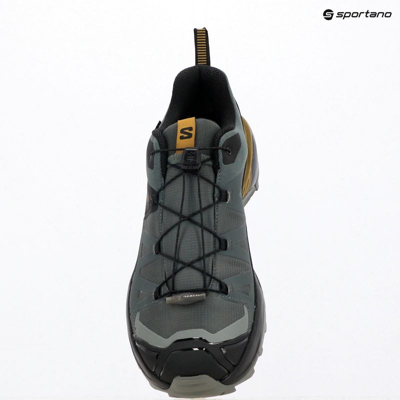 Scarpe da trekking da uomo Salomon X Ultra 360 GTX urban chic/black 10