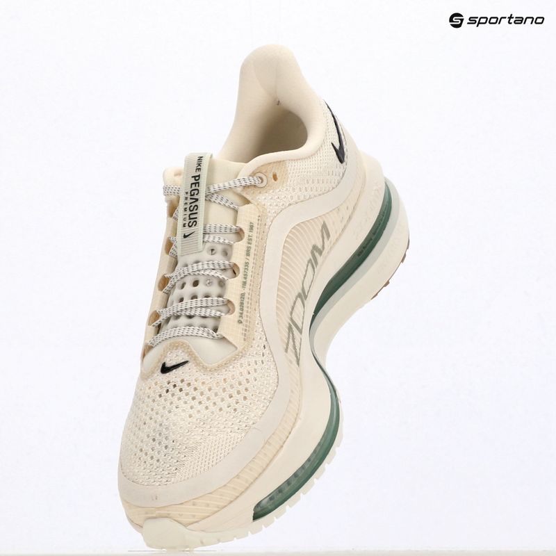 Scarpe da running da uomo Nike Pegasus Premium Pale ivory/jade horizon/black spruce 7