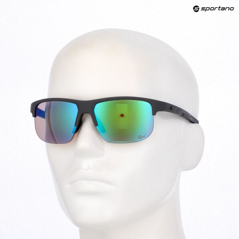Occhiali da sole Alpina Eagle Q-Lite midnight/grey matt/green 7