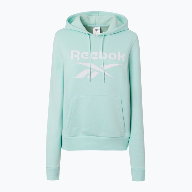 Felpa donna Reebok Identity Big Logo Fleece glitch aqua 5