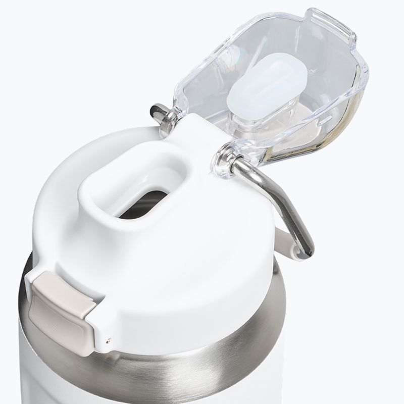 Borraccia termica Stanley Classic Wellspring frost 3