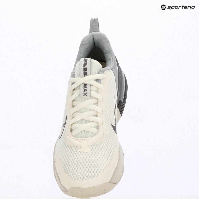 Scarpe da allenamento uomo Nike Air Max Alpha Trainer 6 sail/light smoke grey/phantom/pencil point 12