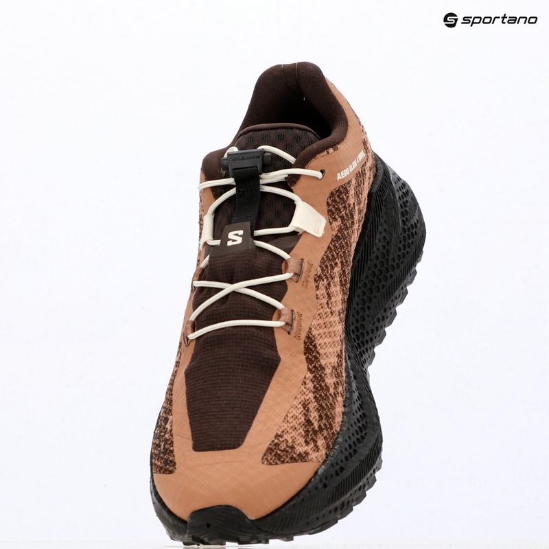 Scarpe da corsa uomo Salomon Aero Glide 4 GRVL burro/black 16
