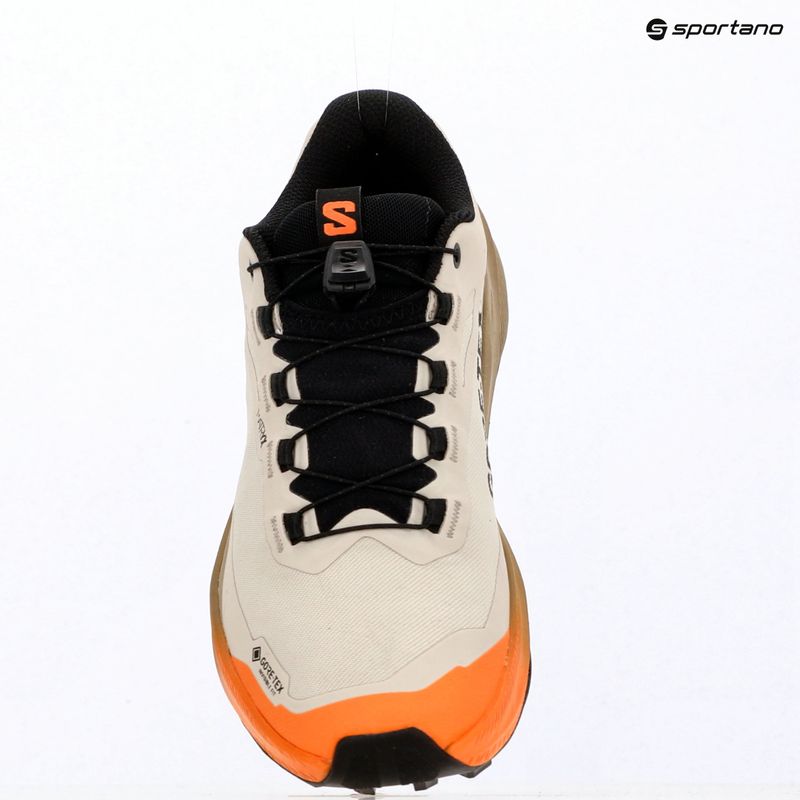 Scarpe da corsa donna Salomon Genesis 2 GTX rainy day/desert tan 15