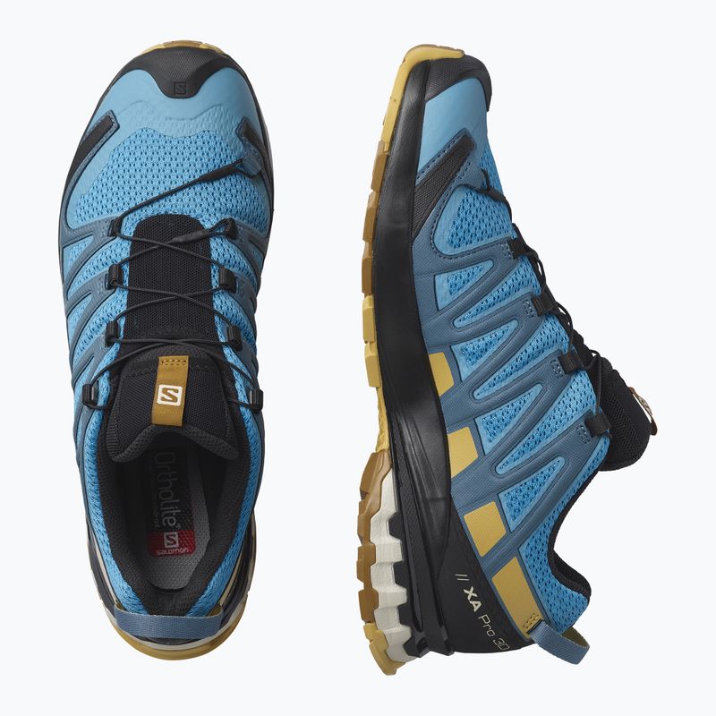 Scarpe da corsa Salomon XA Pro 3D V8 da uomo, barriera corallina/foglia di autunno/bronzo 14