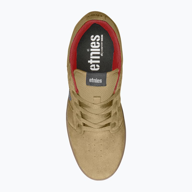 Scarpe da uomo Etnies Cresta marrone/nero/gum 10