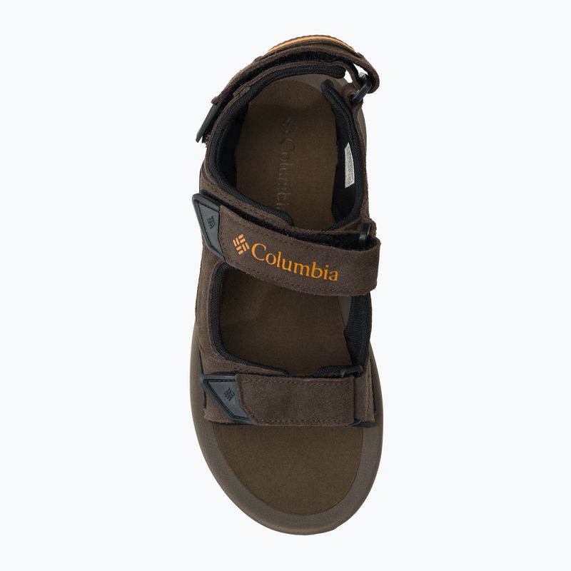 Columbia Trailstorm Hiker 3 Strap cordovan/oro ambra sandali da trekking da uomo 6