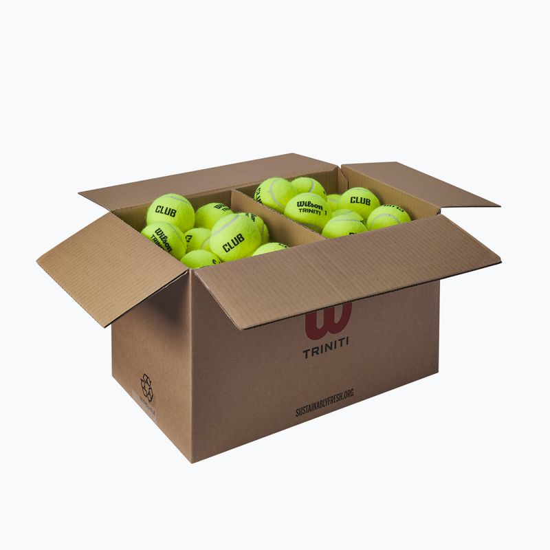 Palle da tennis Wilson Trinity Club 72 pcs. yellow 2