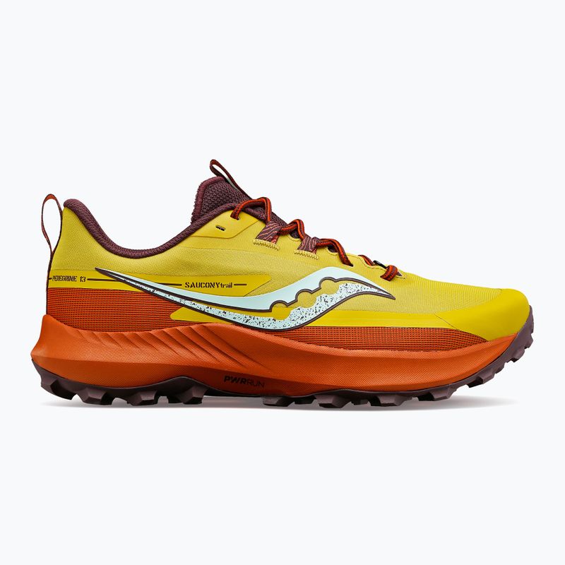 Scarpe da corsa da uomo Saucony Peregrine 13 arroyo 13