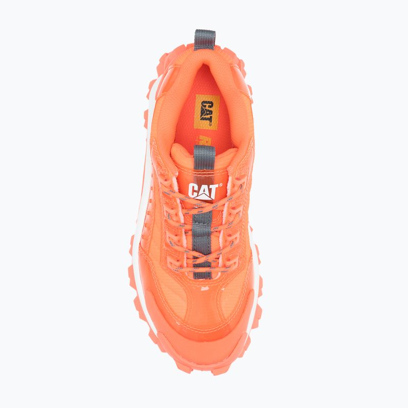 Scarpe da uomo CATerpillar Intr Ignite fiery coral 12