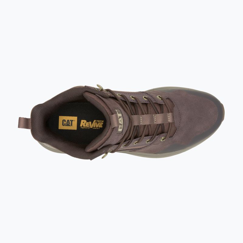 Uomo CATerpillar Colorado Sneaker caffè in grani / pioggia tamburo scarpe 13