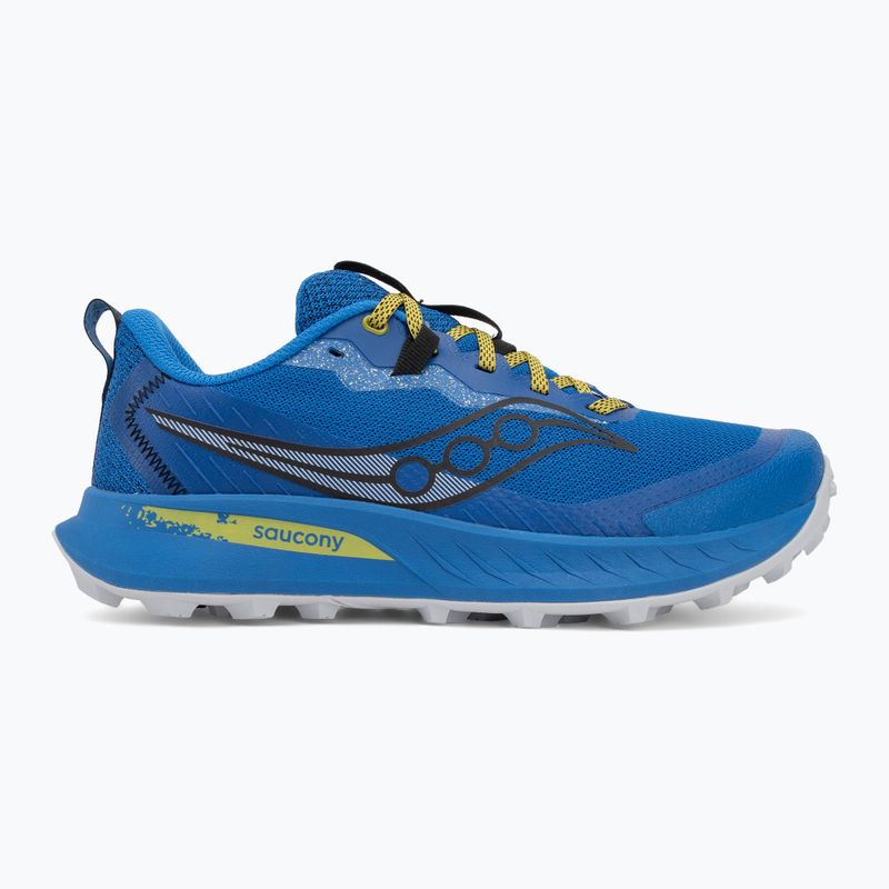 Scarpe da corsa da uomo Saucony Peregine 15 skydiver / picle 2