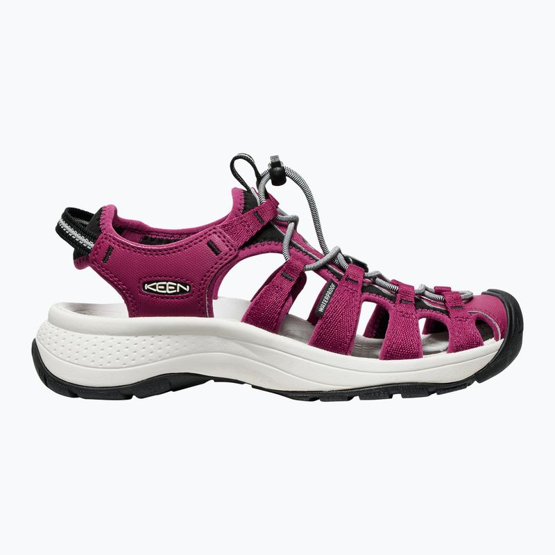 KEEN Astoria West sandali da donna beaujolais/star white 2