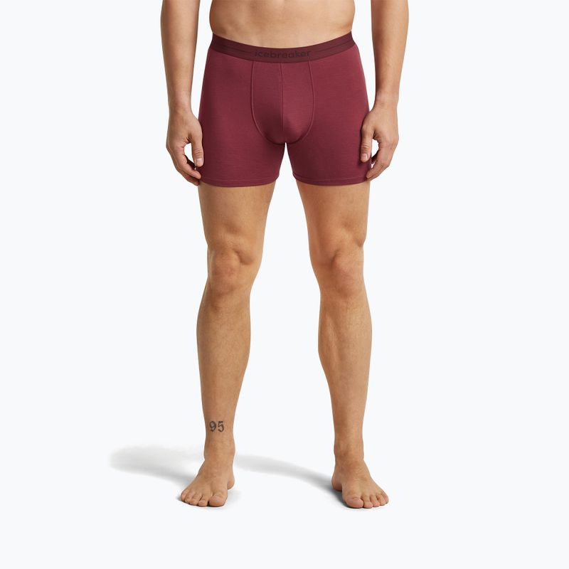 Boxer termici da uomo icebreaker Anatomica Boxers port 2