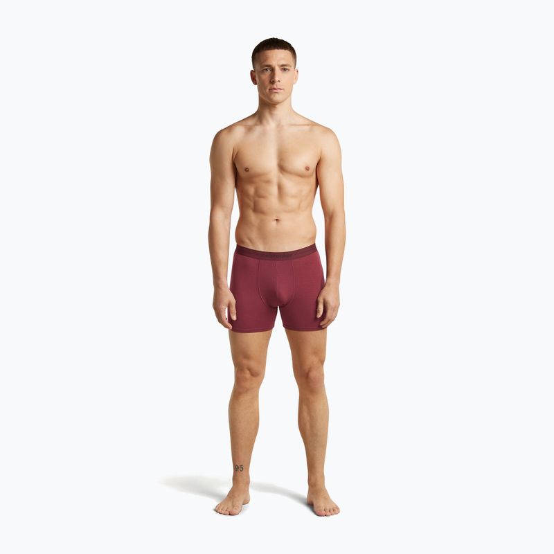 Boxer termici da uomo icebreaker Anatomica Boxers port 3