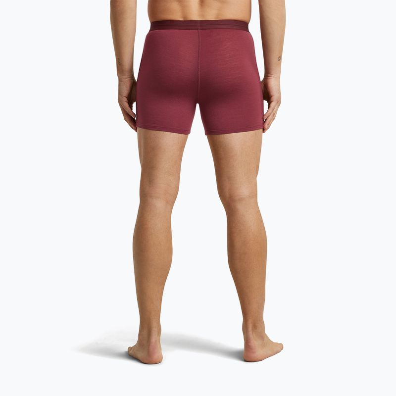 Boxer termici da uomo icebreaker Anatomica Boxers port 4