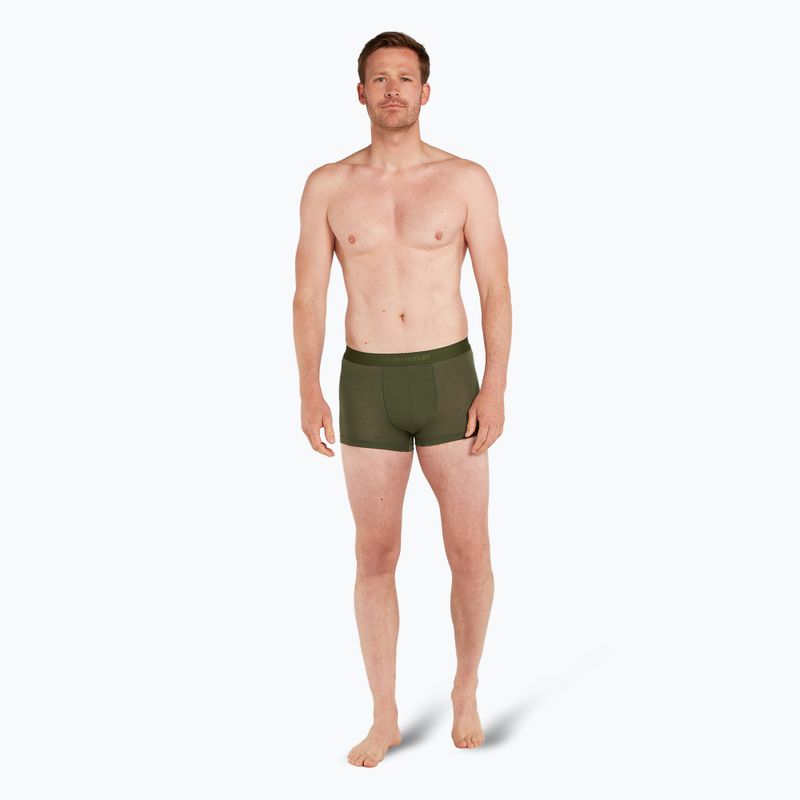 Boxer termico da uomo icebreaker Merino 125 Cool-Lite Anatomica Trunks loden 3