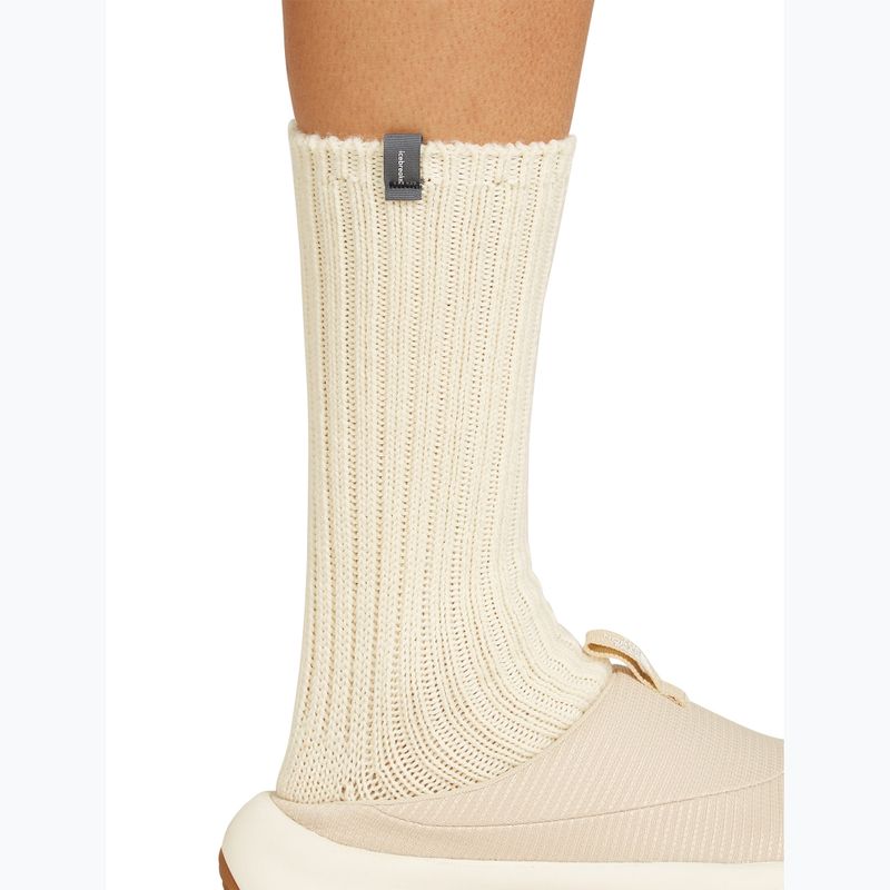 Calze da sci Icebreaker Merino Ski Lodge Crew undyed 4