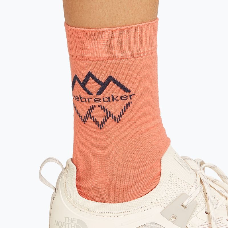 Calze da trekking Icebreaker da donna Life Fine Gauge Crew IB Logo Reflections tang/graphite 4