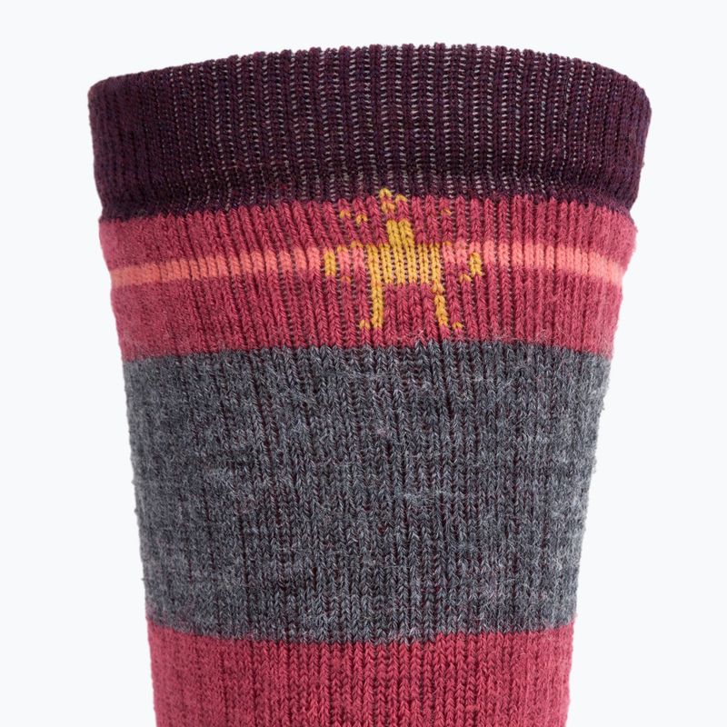 Calze da trekking Smartwool Hike Full Cushion Saturnsphere Crew bordeaux SW001584591 3