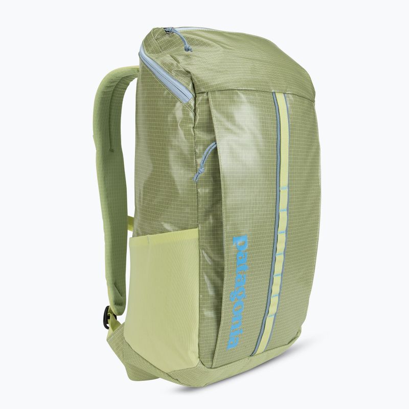 Zaino da trekking Patagonia Black Hole Pack 25 l amico verde 2