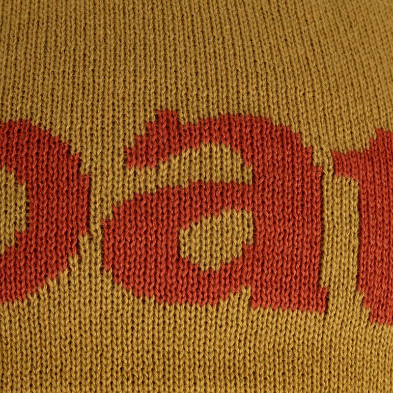 Patagonia berretto invernale logo belwe/cosmic gold 4