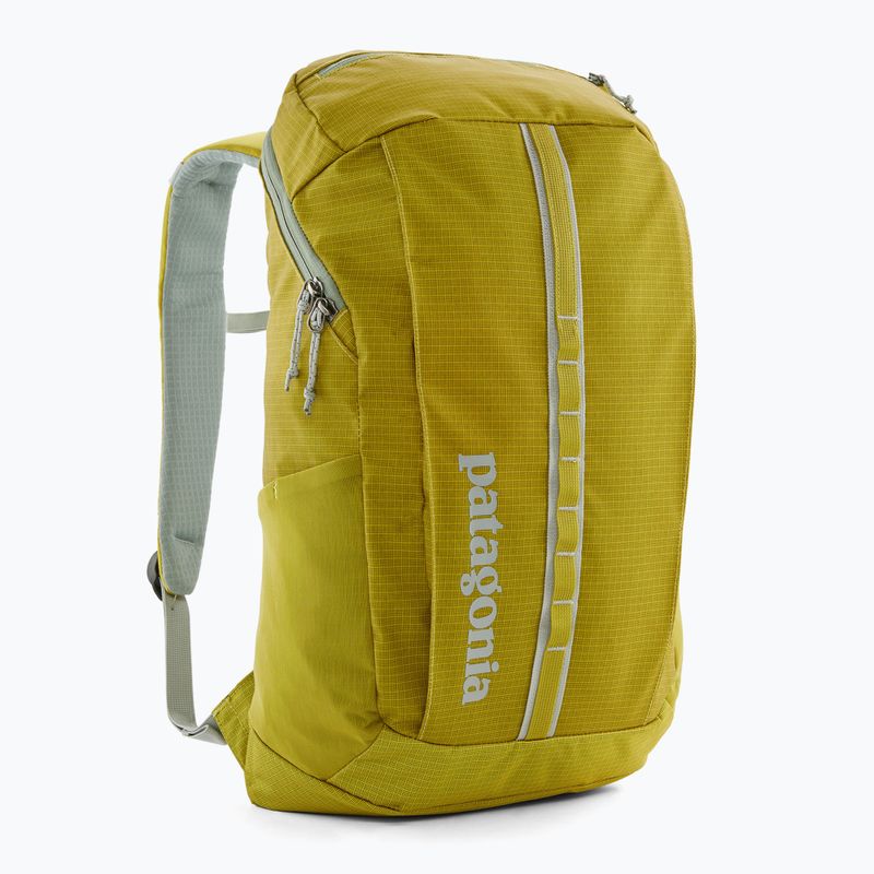 Zaino da trekking Patagonia Black Hole Pack 25 l verde arbusto 2