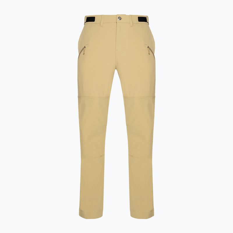 Pantaloni da trekking Patagonia Point Peak Trail-Regular classic tan per uomo 11