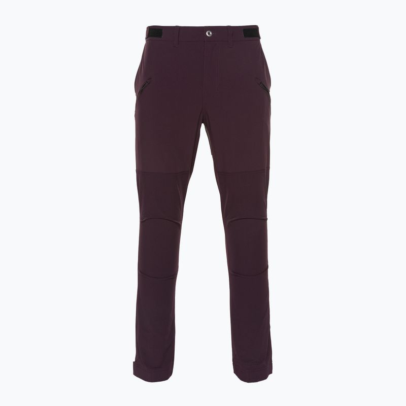 Pantaloni da trekking Patagonia Point Peak Trail-Regular ossidiana prugna da uomo