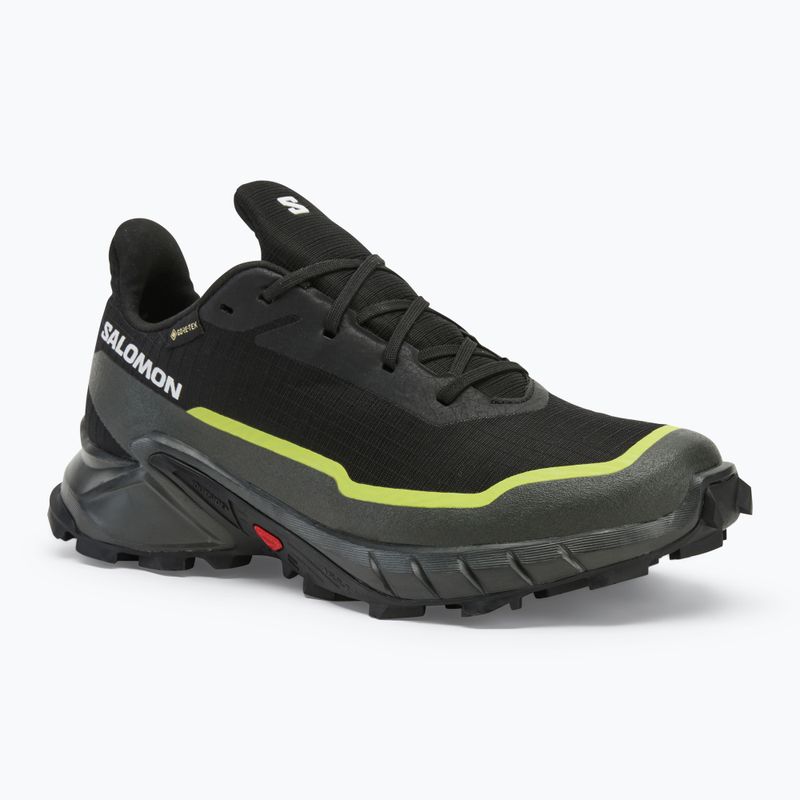 Scarpe da corsa da uomo Salomon Alphacross 5 GTX nero/torba/zolfo primavera