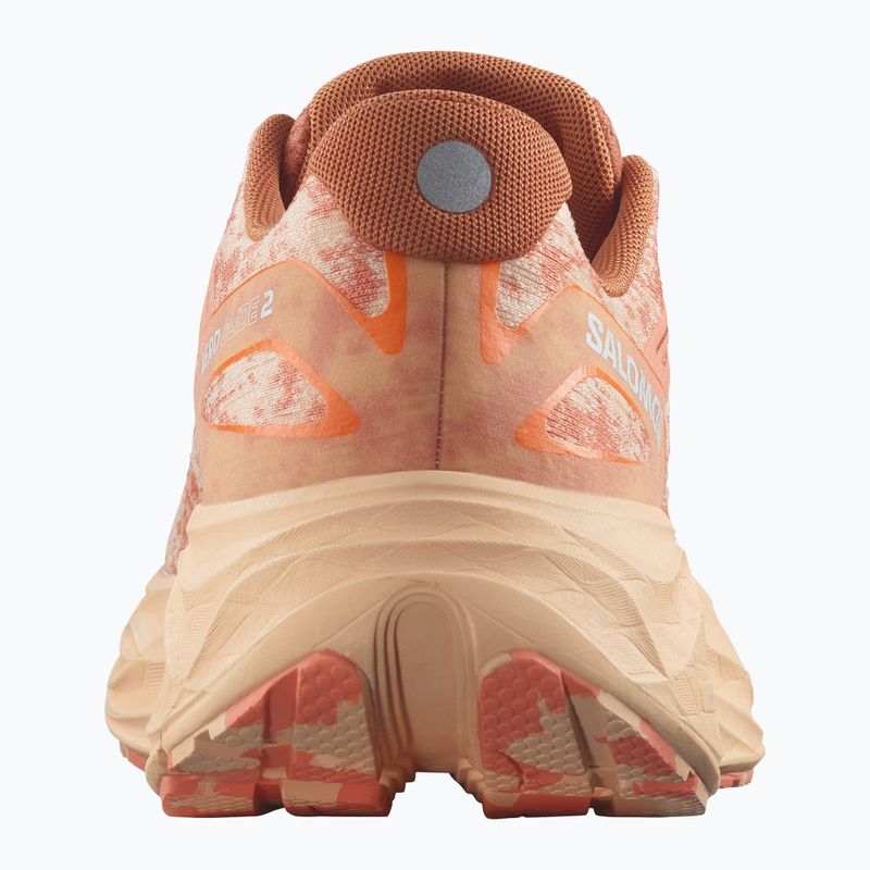 Salomon Aero Glide 2 scarpe da corsa da donna spice route/peach quartz/fresh salmon 11