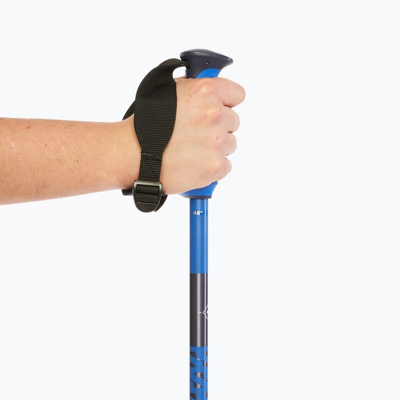 Salomon Polar Pro bastoncini da sci da gara blu 7