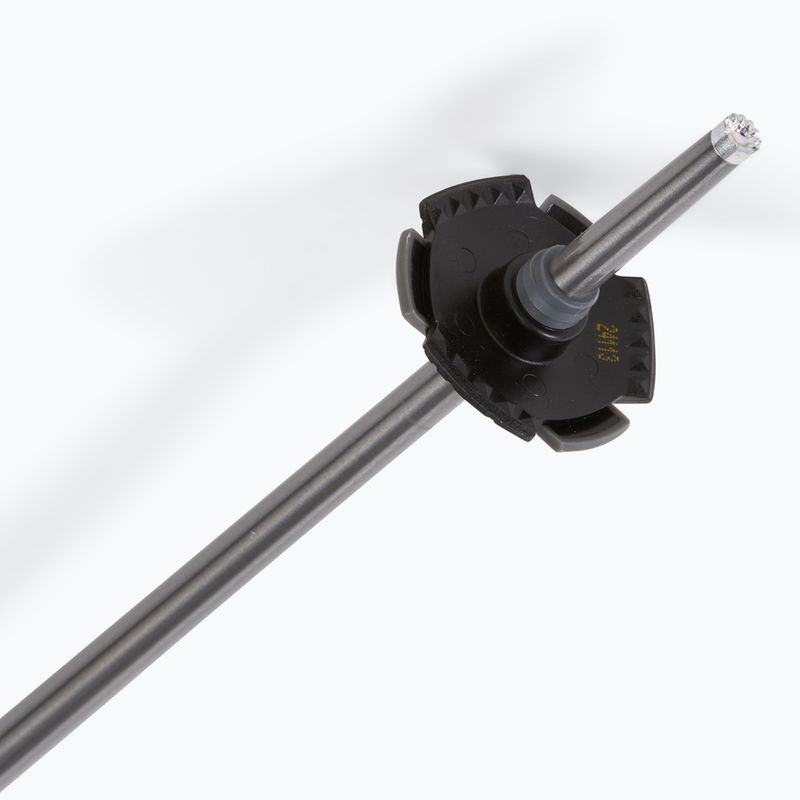 Bastoncini da sci Salomon Polar nero 5