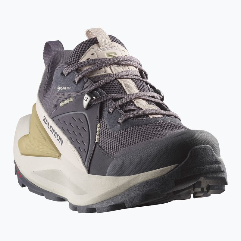 Scarpe da trekking da donna Salomon Elixir GTX 9 nove ferro/nuvola d'argento/spugna 8