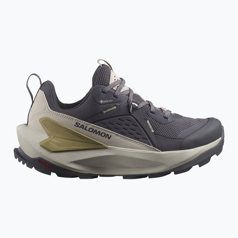Scarpe da trekking da donna Salomon Elixir GTX 9 nove ferro/nuvola d'argento/spugna 9