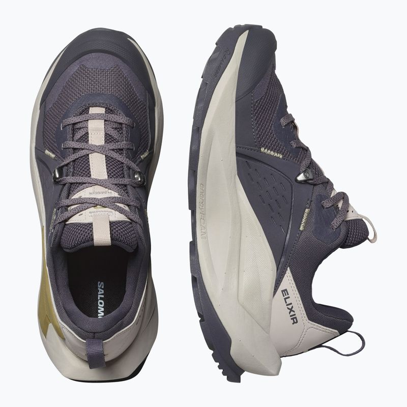 Scarpe da trekking da donna Salomon Elixir GTX 9 nove ferro/nuvola d'argento/spugna 13