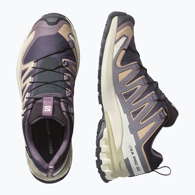 Scarpe da corsa donna Salomon XA Pro 3D V9 GTX nine iron/oxford tan 3