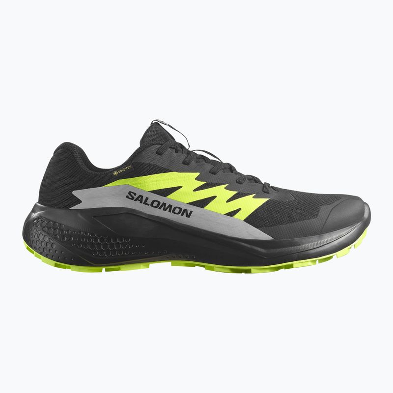 Scarpe da corsa da uomo Salomon Alphaglide GTX nero/alloy/verde acuto