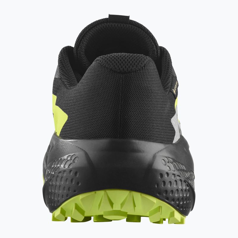 Scarpe da corsa da uomo Salomon Alphaglide GTX nero/alloy/verde acuto 3