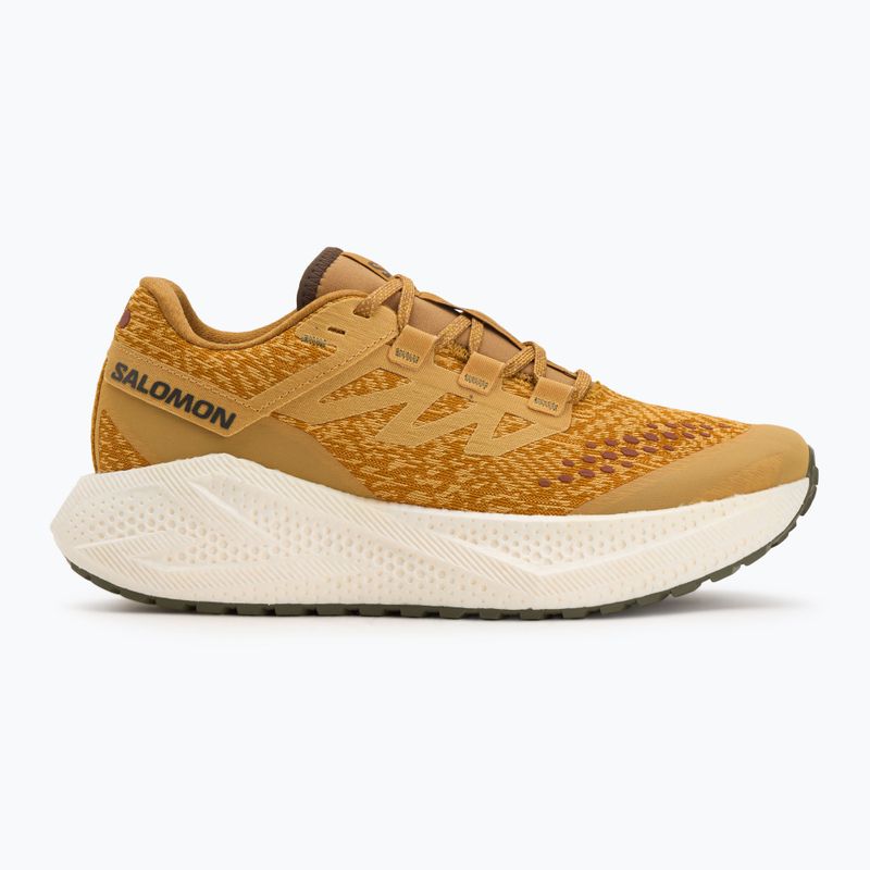 Scarpe da running uomo Salomon Aero Glide 3 Gravel spicy mustard/vanilla ice/deep lichen green 2