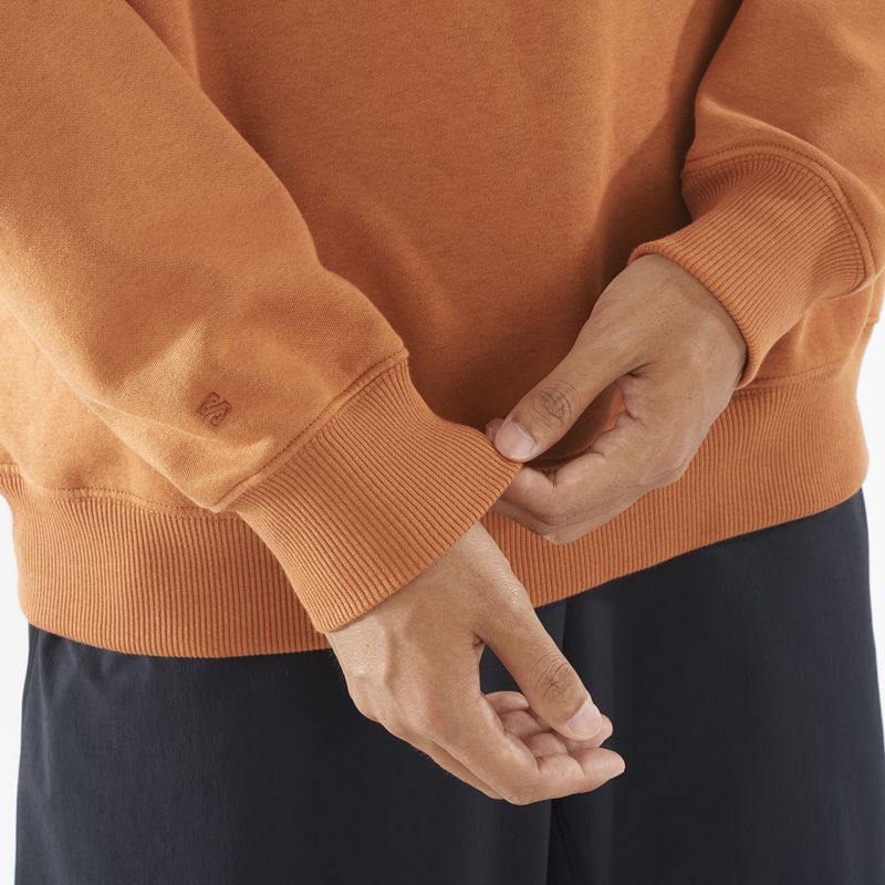 Felpa uomo Salomon Logo Crewneck sierra 4