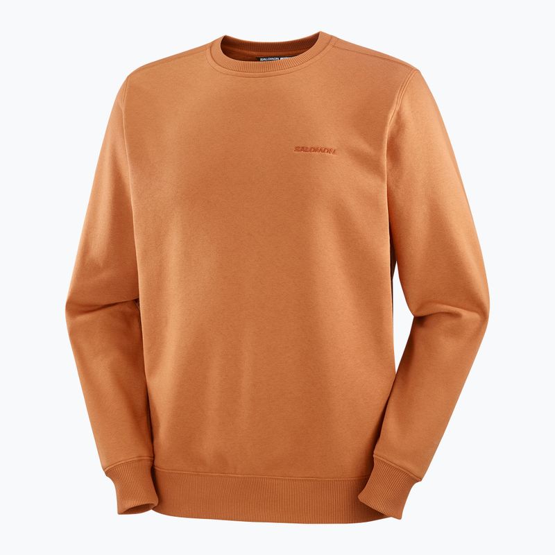 Felpa uomo Salomon Logo Crewneck sierra 5